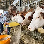 Apartamento Grainmeisterhof Niederwaldkirchen