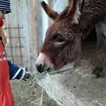 Grainmeisterhof Niederwaldkirchen