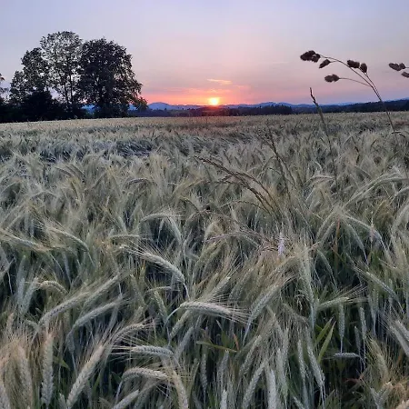 Grainmeisterhof *