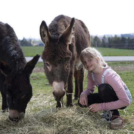 Grainmeisterhof Apartmán *