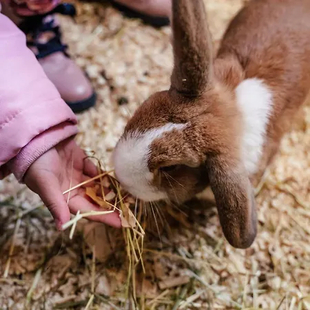 Grainmeisterhof Апартаменты