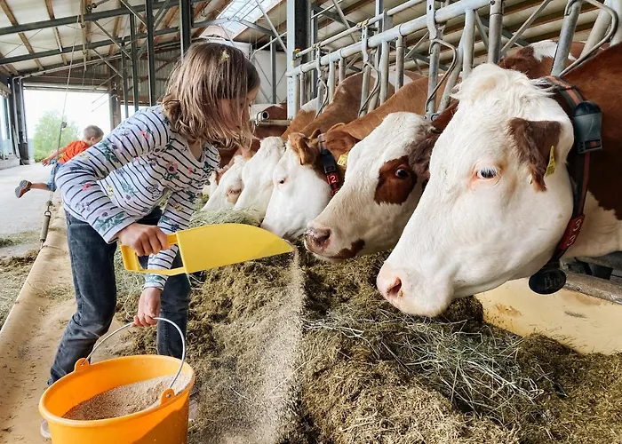 Apartmán Grainmeisterhof Niederwaldkirchen