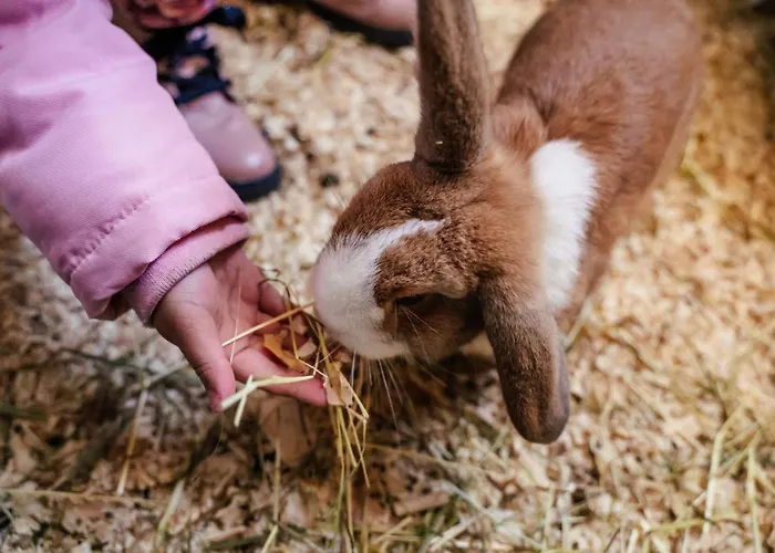Grainmeisterhof Apartmán
