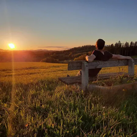 Grainmeisterhof דירה Niederwaldkirchen