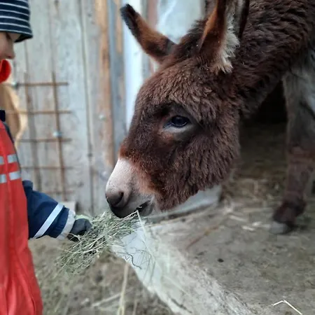 Grainmeisterhof Niederwaldkirchen