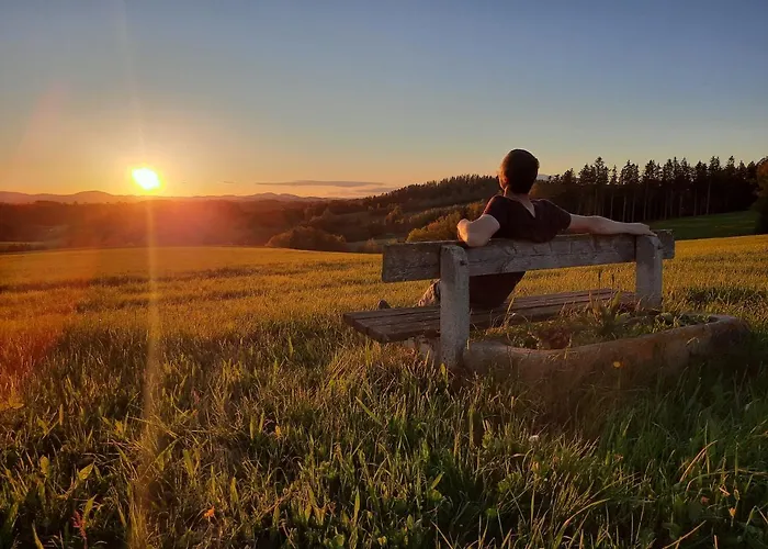 Grainmeisterhof Διαμέρισμα Niederwaldkirchen