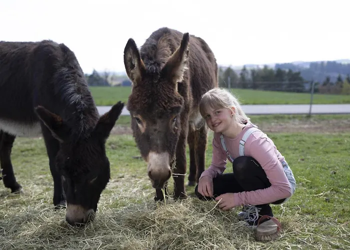 Grainmeisterhof Διαμέρισμα *